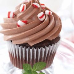 Chocolate Peppermint Mousse Cupcakes