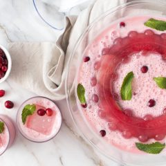 Cranberry Cream Punch