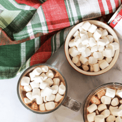 Peppermint Hot Chocolate