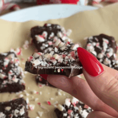 Peppermint Fudge
