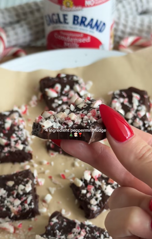 Peppermint Fudge