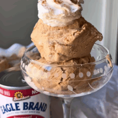 pumpkin ice cream